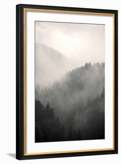 Fog Covering The Mountain Forests-Gudella-Framed Premium Giclee Print