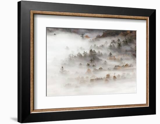 Fog filled valley at sunrise, Blue Ridge Parkway, Brevard, North Carolina-Adam Jones-Framed Photographic Print