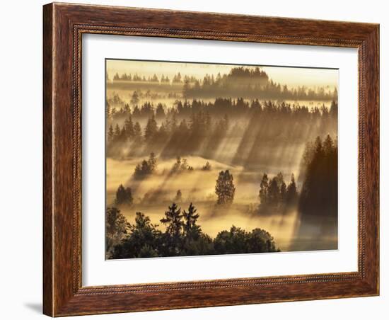 Fog impression at Sindelbachfilz, Bavaria, Germany-Frank Krahmer-Framed Art Print