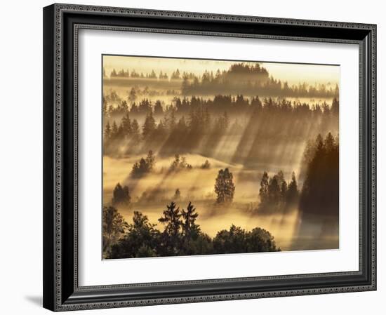 Fog impression at Sindelbachfilz, Bavaria, Germany-Frank Krahmer-Framed Art Print