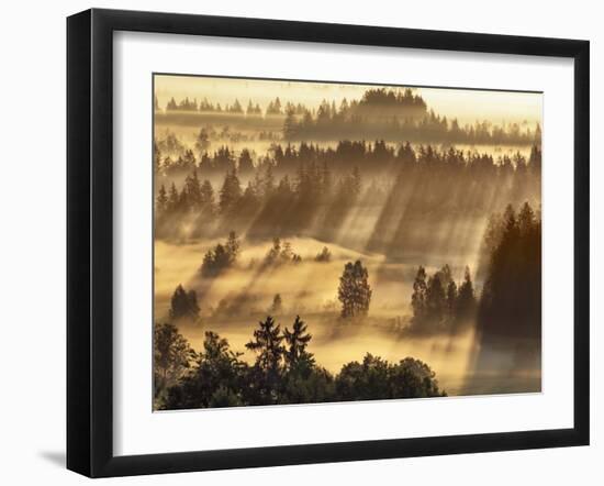 Fog impression at Sindelbachfilz, Bavaria, Germany-Frank Krahmer-Framed Art Print