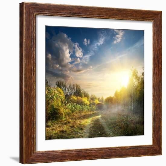 Fog in Autumn Wood at the Sunrise-Givaga-Framed Photographic Print