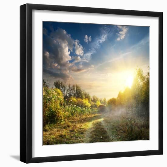 Fog in Autumn Wood at the Sunrise-Givaga-Framed Photographic Print