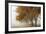 Fog in Fall-David Winston-Framed Giclee Print