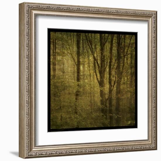 Fog in Mountain Trees No. 2-John Golden-Framed Art Print