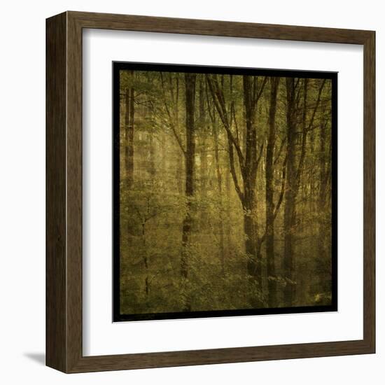 Fog in Mountain Trees No. 2-John Golden-Framed Art Print