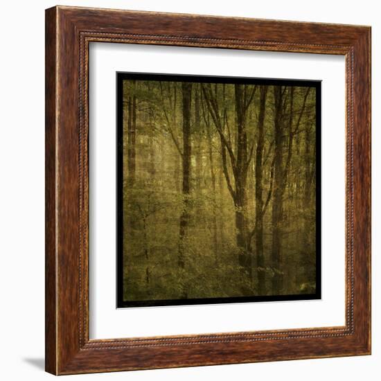 Fog in Mountain Trees No. 2-John Golden-Framed Art Print