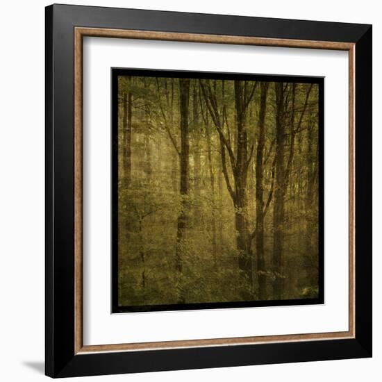 Fog in Mountain Trees No. 2-John Golden-Framed Art Print