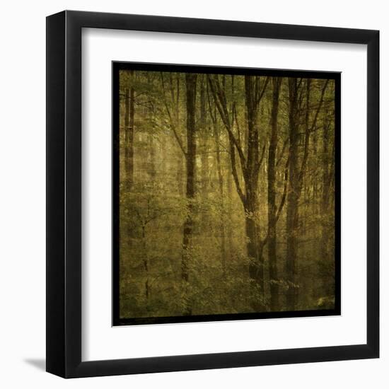 Fog in Mountain Trees No. 2-John Golden-Framed Art Print