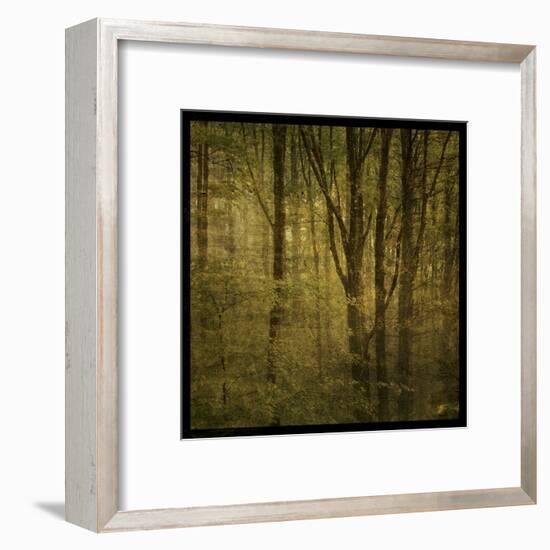 Fog in Mountain Trees No. 2-John Golden-Framed Art Print