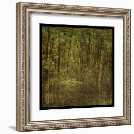 Fog in Mountain Trees-John Golden-Framed Art Print