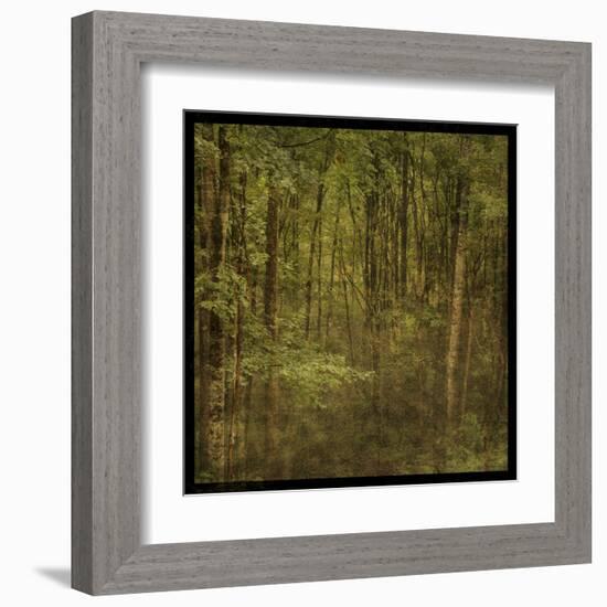 Fog in Mountain Trees-John Golden-Framed Art Print