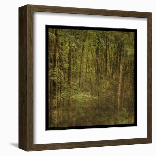 Fog in Mountain Trees-John Golden-Framed Art Print