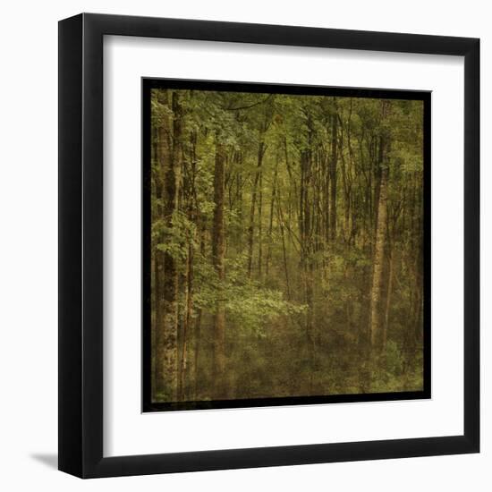 Fog in Mountain Trees-John Golden-Framed Art Print