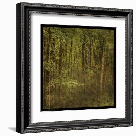 Fog in Mountain Trees-John Golden-Framed Art Print