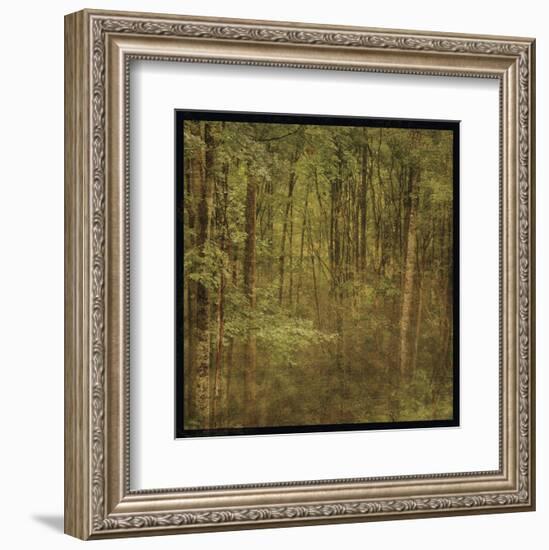 Fog in Mountain Trees-John W^ Golden-Framed Art Print