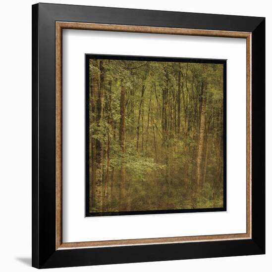 Fog in Mountain Trees-John W^ Golden-Framed Art Print