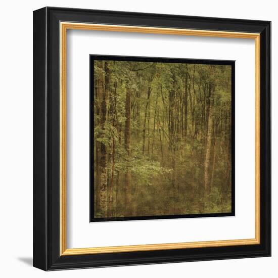 Fog in Mountain Trees-John W^ Golden-Framed Art Print