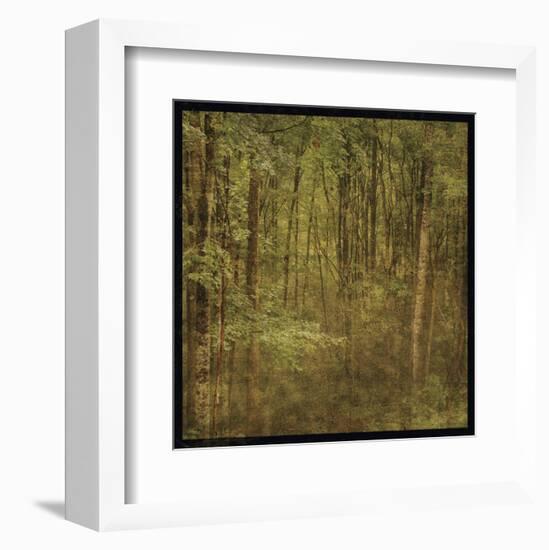 Fog in Mountain Trees-John W^ Golden-Framed Art Print