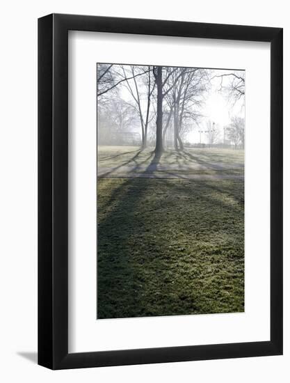 Fog in the Early Morning, Altonaer Balkon, Elbberg, Altona, Hanseatic City of Hamburg, Germany-Axel Schmies-Framed Photographic Print