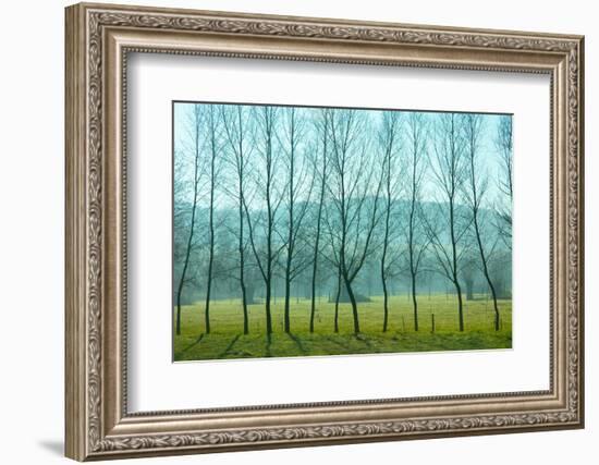 Fog In the Field, Normandy-Caroyl La Barge-Framed Photographic Print