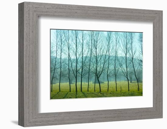 Fog In the Field, Normandy-Caroyl La Barge-Framed Photographic Print