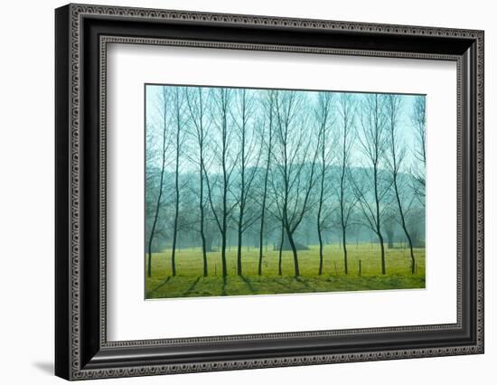 Fog In the Field, Normandy-Caroyl La Barge-Framed Photographic Print