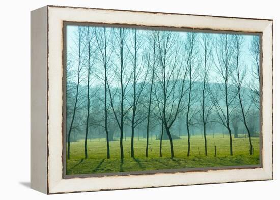 Fog In the Field, Normandy-Caroyl La Barge-Framed Premier Image Canvas