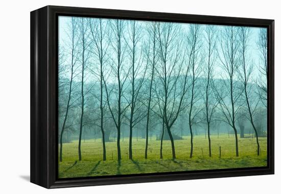 Fog In the Field, Normandy-Caroyl La Barge-Framed Premier Image Canvas