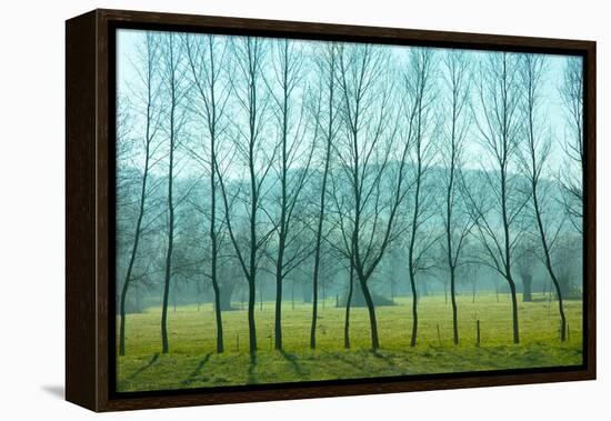 Fog In the Field, Normandy-Caroyl La Barge-Framed Premier Image Canvas