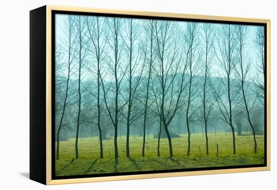 Fog In the Field, Normandy-Caroyl La Barge-Framed Premier Image Canvas