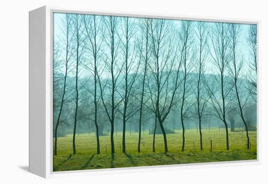 Fog In the Field, Normandy-Caroyl La Barge-Framed Premier Image Canvas