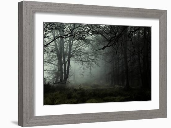 Fog in the Forest-David Baker-Framed Photographic Print