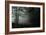 Fog in the Forest-David Baker-Framed Photographic Print