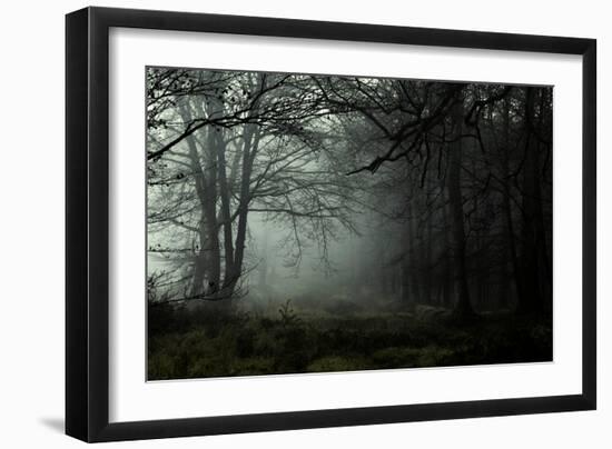 Fog in the Forest-David Baker-Framed Photographic Print