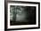 Fog in the Forest-David Baker-Framed Photographic Print