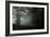 Fog in the Forest-David Baker-Framed Photographic Print