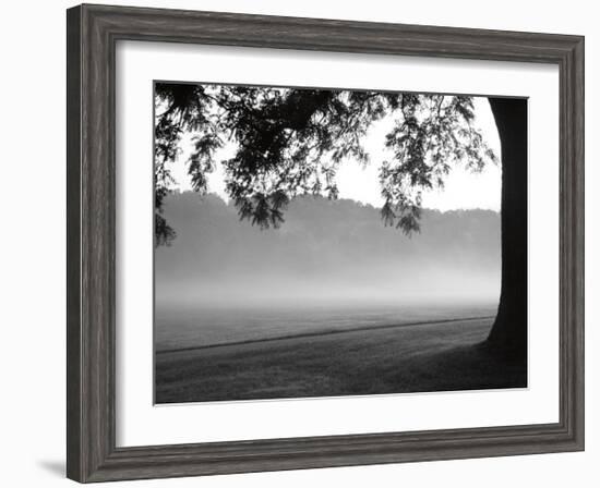 Fog in the Park I-Gary Bydlo-Framed Giclee Print