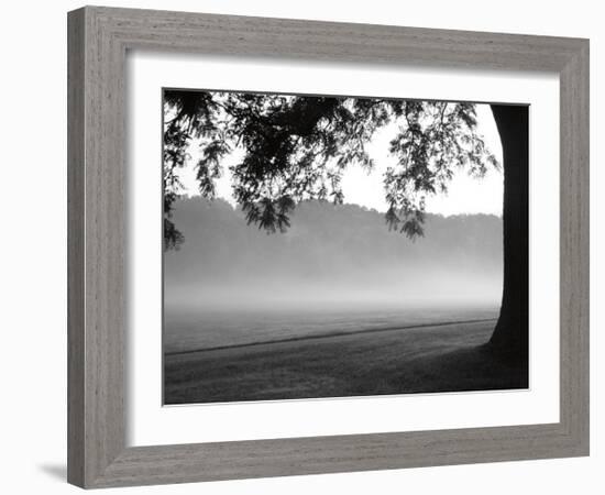 Fog in the Park I-Gary Bydlo-Framed Giclee Print