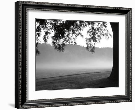 Fog in the Park I-Gary Bydlo-Framed Giclee Print
