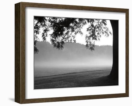 Fog in the Park I-Gary Bydlo-Framed Giclee Print