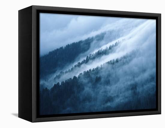 Fog in the Smokey Mountains-Karen Kasmauski-Framed Premier Image Canvas