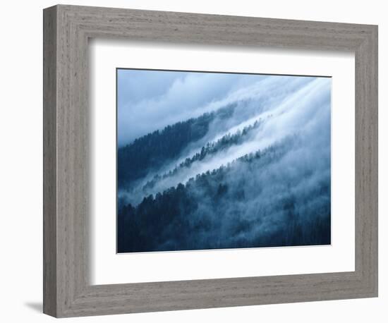 Fog in the Smokey Mountains-Karen Kasmauski-Framed Photographic Print