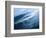 Fog in the Smokey Mountains-Karen Kasmauski-Framed Photographic Print