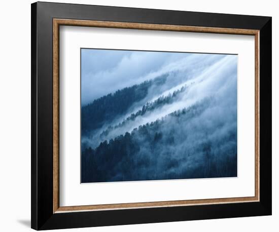 Fog in the Smokey Mountains-Karen Kasmauski-Framed Photographic Print