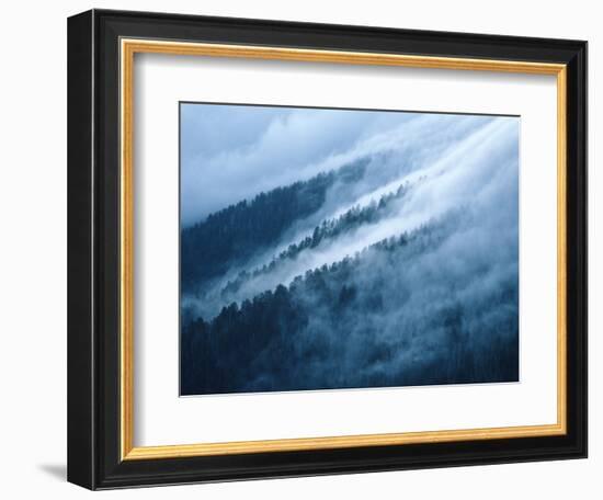 Fog in the Smokey Mountains-Karen Kasmauski-Framed Photographic Print