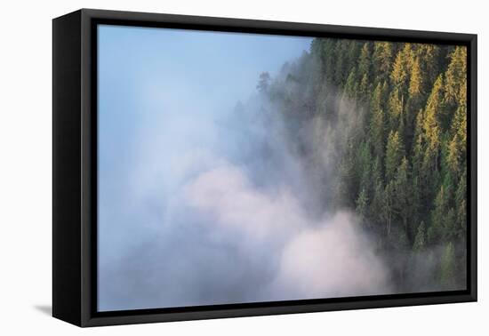 Fog in valley and slopes of Olympic Mountains. Olympic National Park, Washington State-Alan Majchrowicz-Framed Premier Image Canvas