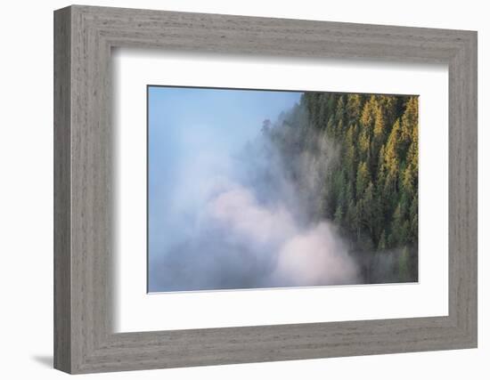 Fog in valley and slopes of Olympic Mountains. Olympic National Park, Washington State-Alan Majchrowicz-Framed Photographic Print