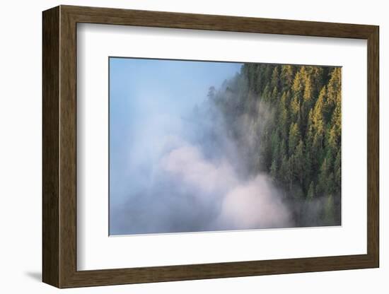 Fog in valley and slopes of Olympic Mountains. Olympic National Park, Washington State-Alan Majchrowicz-Framed Photographic Print