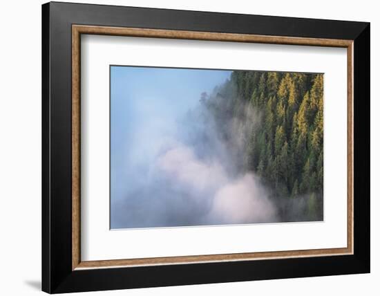 Fog in valley and slopes of Olympic Mountains. Olympic National Park, Washington State-Alan Majchrowicz-Framed Photographic Print